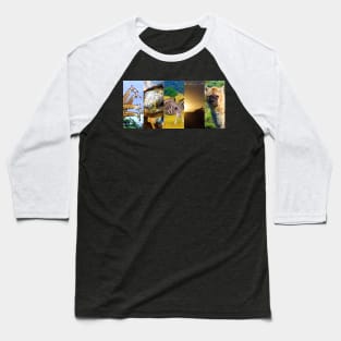 African Wildlife Photo Collage Baseball T-Shirt